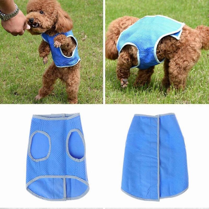 Cooling Vest for Puppy 3Pcs Summer Coat Vest Blue Comfortable Fit