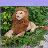 Peluche Leone Vivace Morbido Coccoloso Enorme Peluche Bambola Giungla Deliziosa Per Bambini