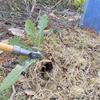 Stand Up Weed Puller Tool with Screw Holes Portable Weeding Head Replacement Gardening Digging Weeder Removal Accessory
