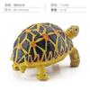 Simulation Amphibian Reptile Model Tortoise Tortoise Star Tortoise Static Decoration Cognitive Ornament Toy