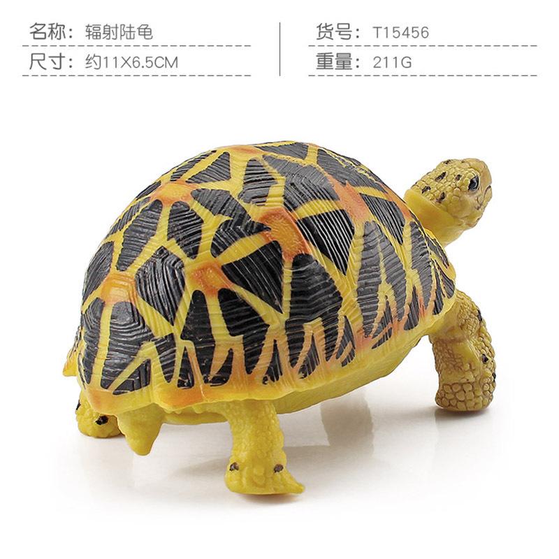 Simulation Amphibian Reptile Model Tortoise Tortoise Star Tortoise Static Decoration Cognitive Ornament Toy