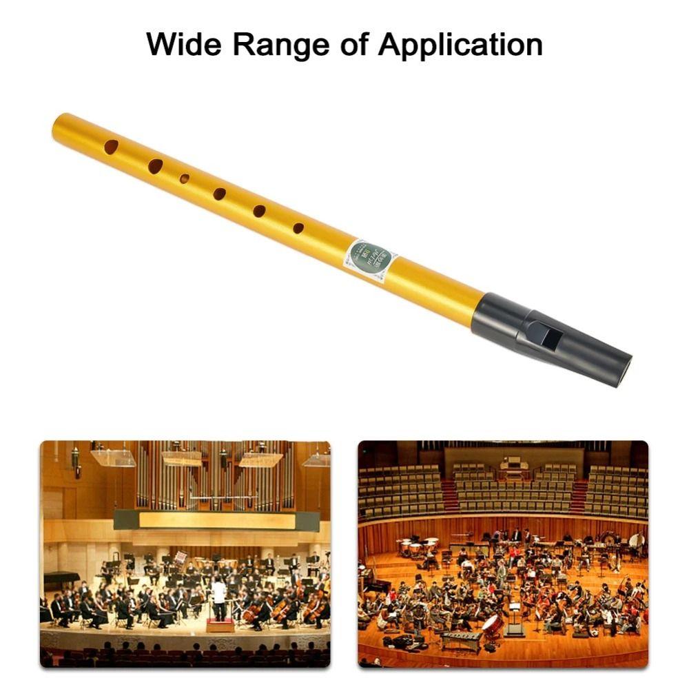 D Key Ireland Flute Professional Irish Whistle Musical Accessories Irish Whistle Flute Beginner