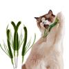 Cat Interactive Toy Tail Grass Cats Sage Feather Toy Long Pole Kitten Teasing Stick Bite Resistant Sound Toy Cat Supplies