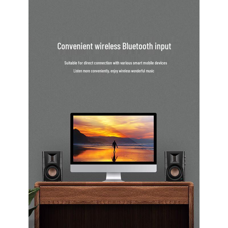 HiVi D100 2.0 Channel Bluetooth Multimedia Active Desktop Speakers CN Plug (adapter Included)