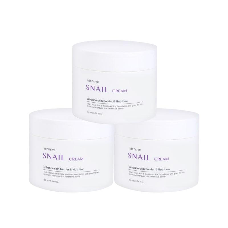 (3ea) Foodaholic Intensive Snail Cream 100ml/Moisture Cream Barrier Strengthening Wrinkle Improvement High Moisture