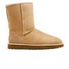Botas