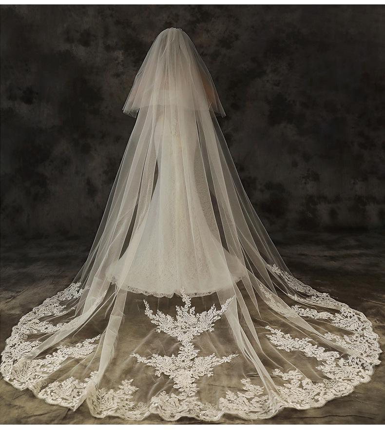 Summer Bridal Lace Edge Wedding Veil with Long Train
