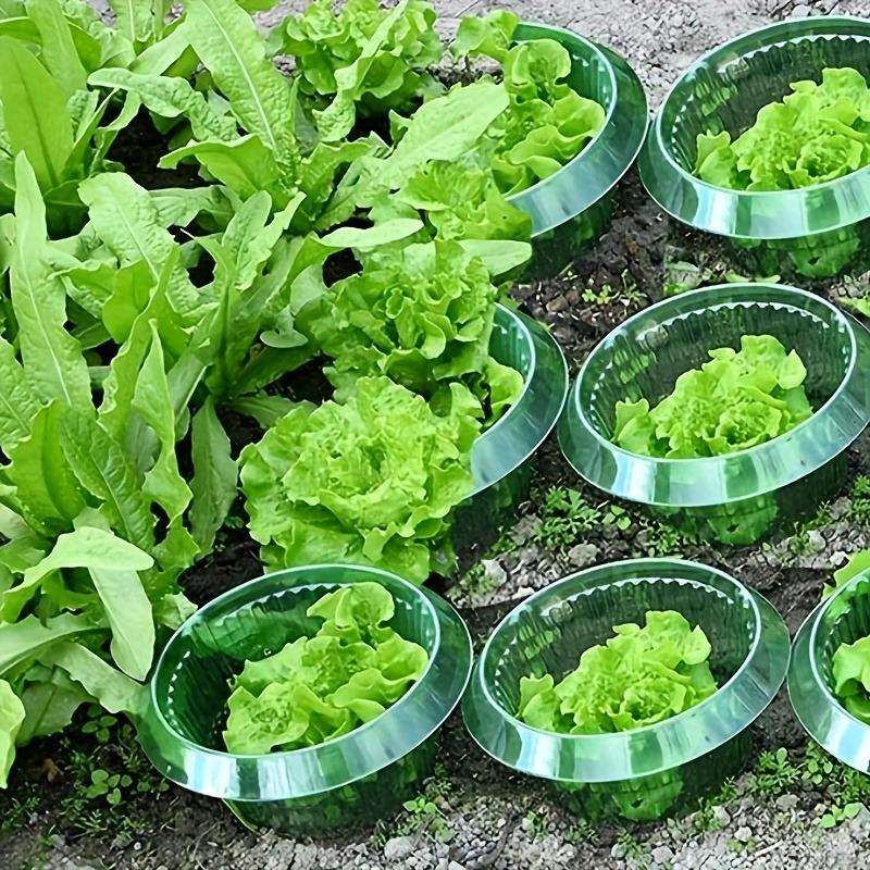 5/10pcs Green Transparent Round Snail and Slug Protection Covers - Reusable Plastic Slug and Snail Plant Protectors