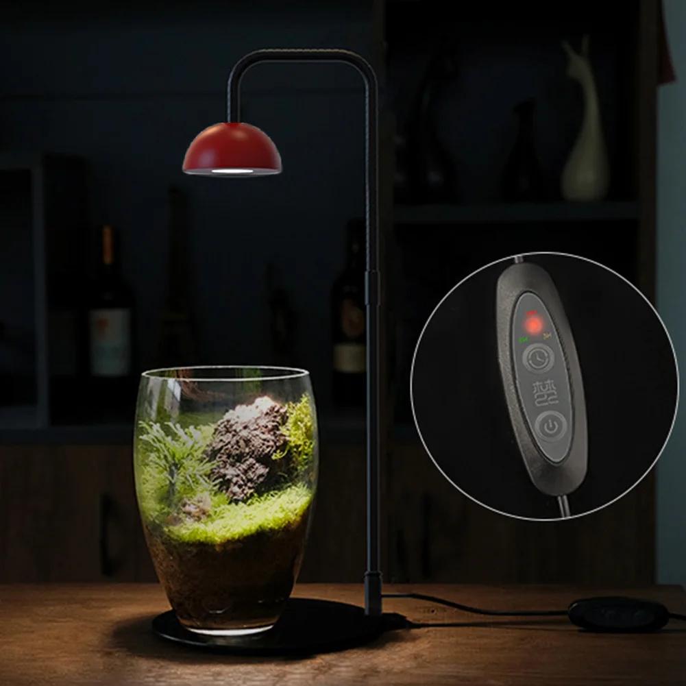 Micro Landscape Plant Growth Lamp Height Adjustable Fish Tank Light Indoor Plant Growth Lamp for Desktop Glass Plant Terrarium