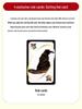 Genuine Mattel UNO Classic Card Game for Multiple Players - Casual Party Poker Table Game