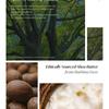 Nature Republic Shea Butter Steam Cream - 3 Types