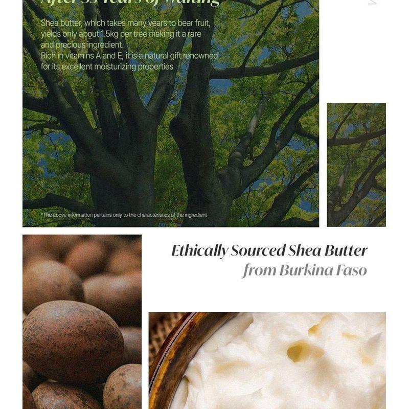 Nature Republic Shea Butter Steam Cream - 3 Types