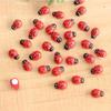 100Pcs/Set Manual Mini Wooden Ladybird Micro Landscape Decor DIY Wall Sticker