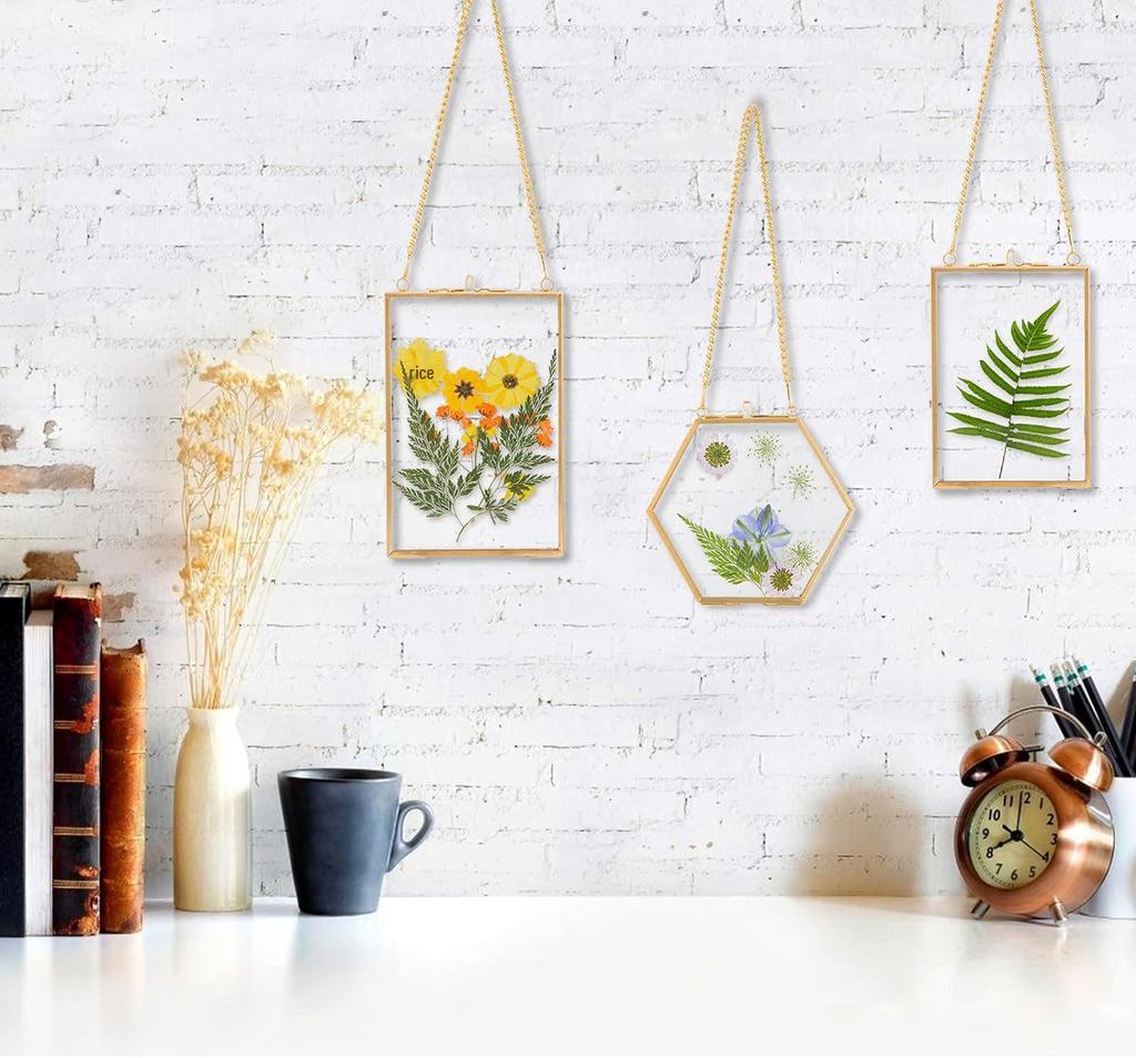 Three-Piece Brass & Glass Hanging Wall Frame Set for Plants & Photos