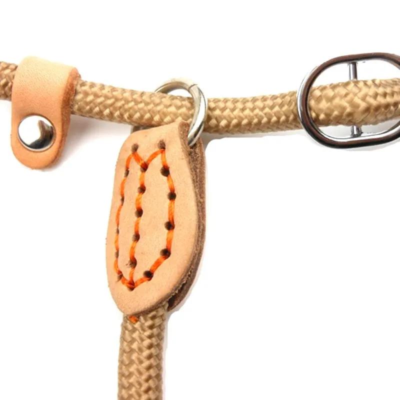 Dog Walking Leash Slip Rope Lead Leash Heavy Duty Braided Rope Adjustable Loop Collar Training Leashes for Large Dogs