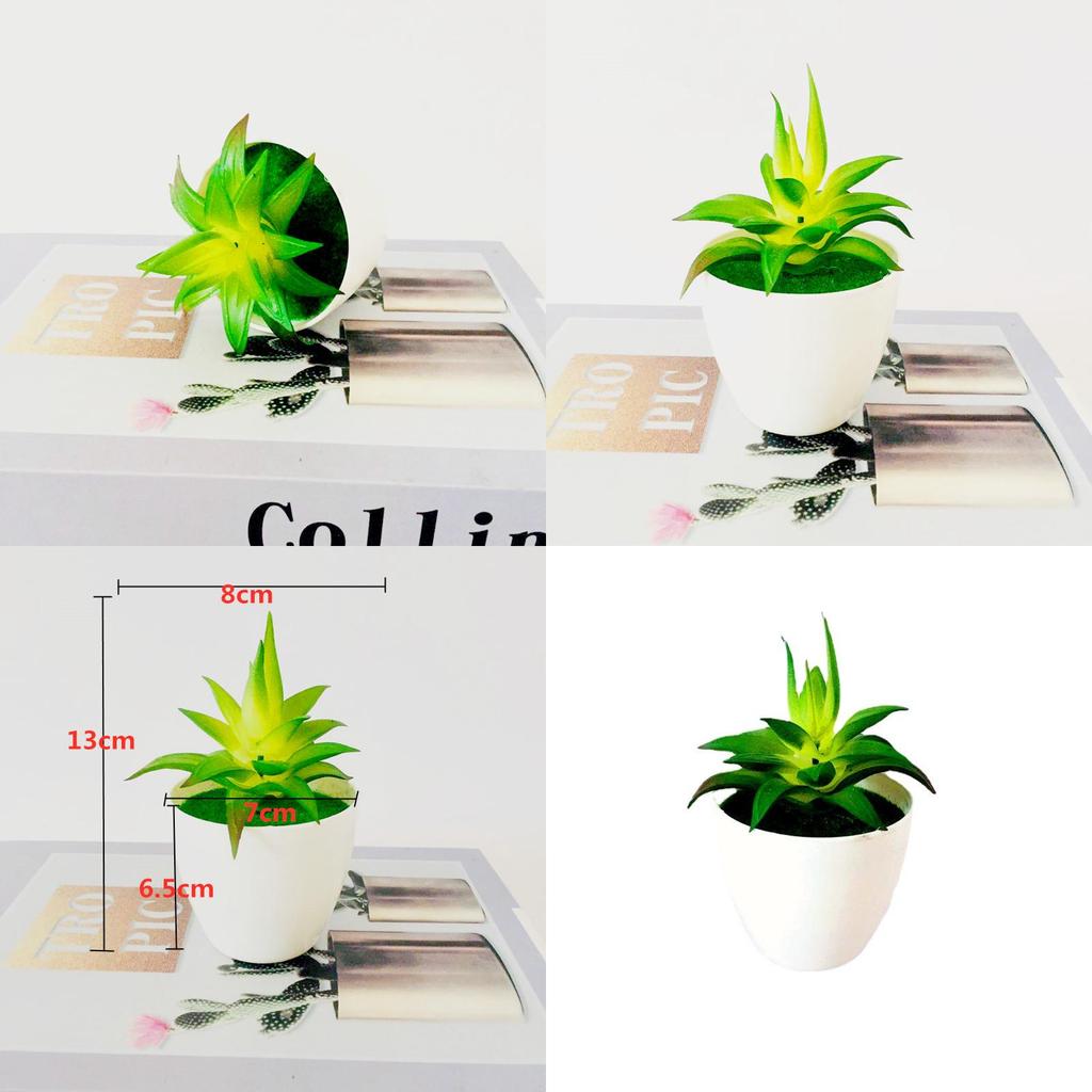 Succulent Faux Pvc Plant With Creative Design For Living Room And Projects Diy