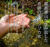 Silica water Kirishima natural water 590ml x 24 bottles natural mineral water from the Kirishima mountains (1 box) Additive-free (24 bottles)