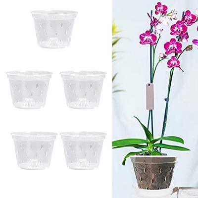 5 Zoll durchsichtige Orchideentöpfe. Durchsichtige Haltbarkeit und Langlebigkeit