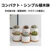 Riblind Succulent Ceramic Cactus Mini Suitable for Mini Ceramic No Bamboo Plate Included of Pot, Pot, Pot, Pot, Plants, White, Plant, (Set 4)