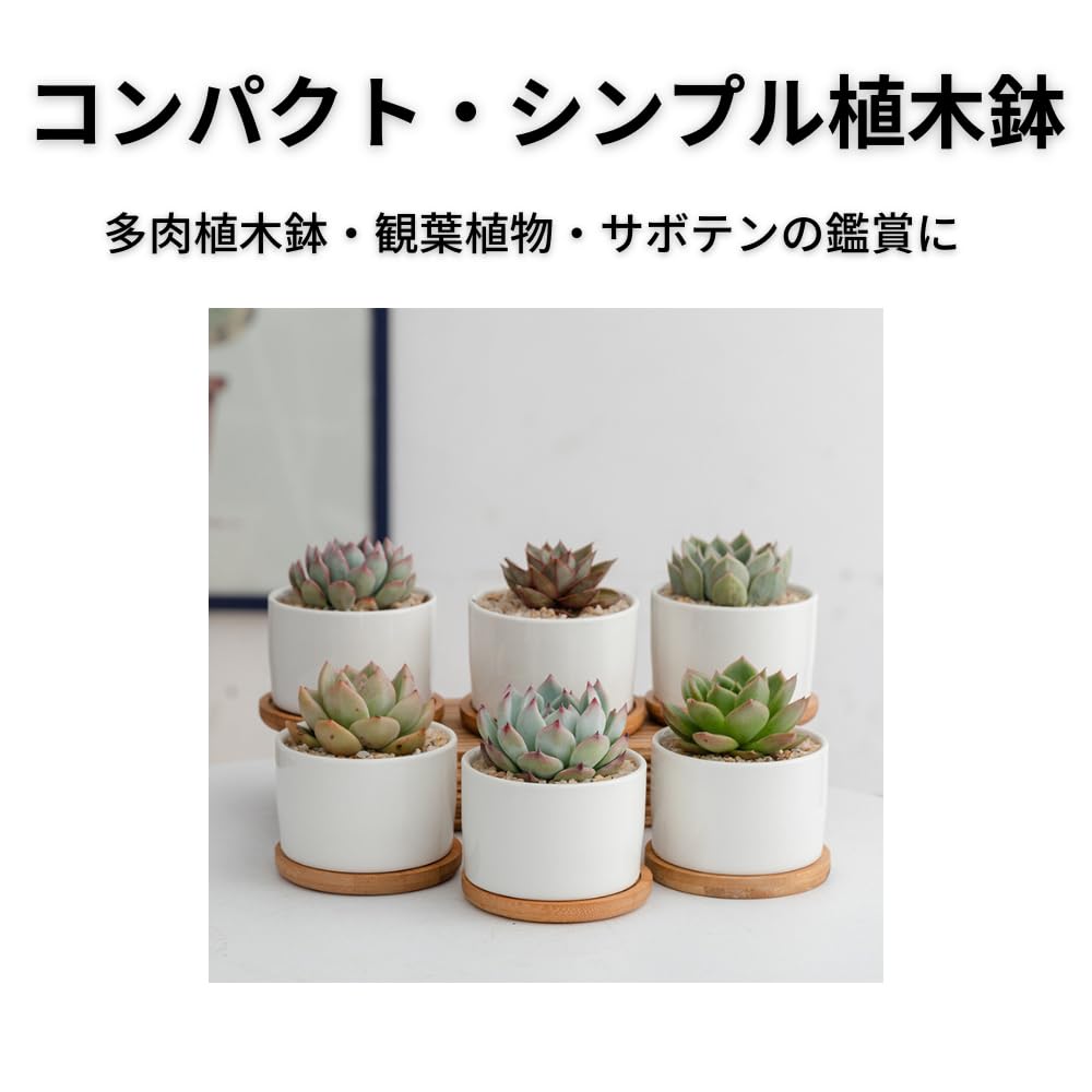 Riblind Succulent Ceramic Cactus Mini Suitable for Mini Ceramic No Bamboo Plate Included of Pot, Pot, Pot, Pot, Plants, White, Plant, (Set 4)