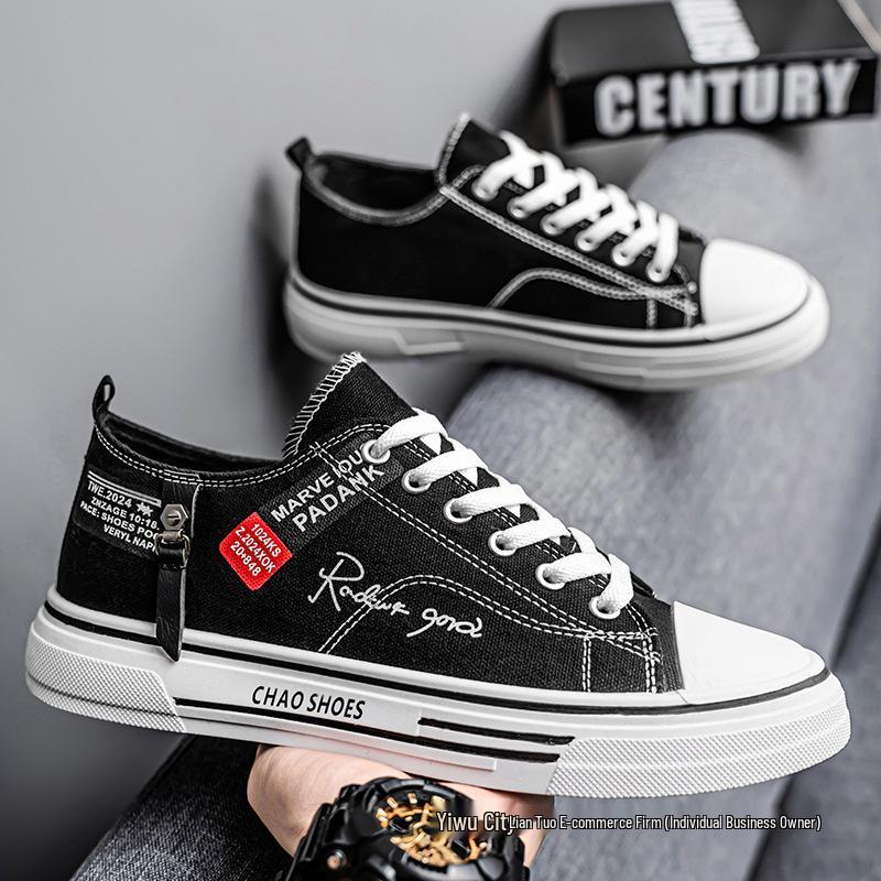 2025 Men's Breathable Versatile Canvas Sneakers - Trendy Summer Low-Top Casual Shoes for Youth