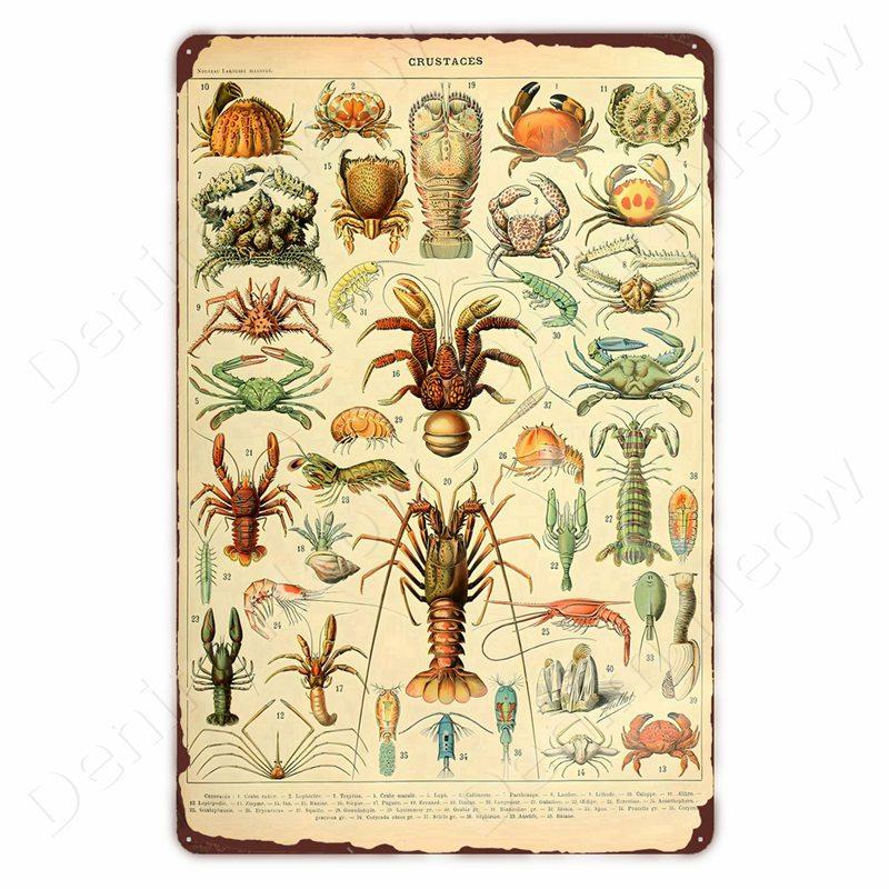 Starověcí Znamení Vintage Kovové Znamení Fosilní Nástěnné Umění Plakát Savci Ryby Znamení pro Domov Třída Dekor Hmyz Plechové Znamení