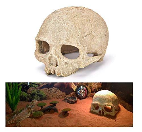 Heizi Reptile Shelter Cage, Skeleton Shape, for Leopard Geckos, Bearded Dragons, and Leopard Geckos (Skull)