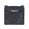 Roland KC-200 Keyboard Amplifier