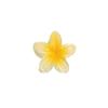 Plumeria Claw Clip: European & American Stylish Hair Accessory for Updos
