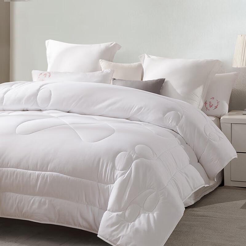 Hongxiu Shifang Antibacterial Washable Comfort Quilt