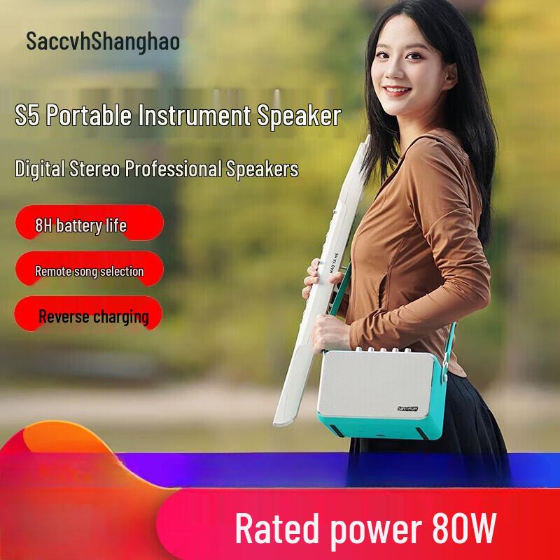 SACCVH S5 Portable Musical Instrument Amplifier (CN version)