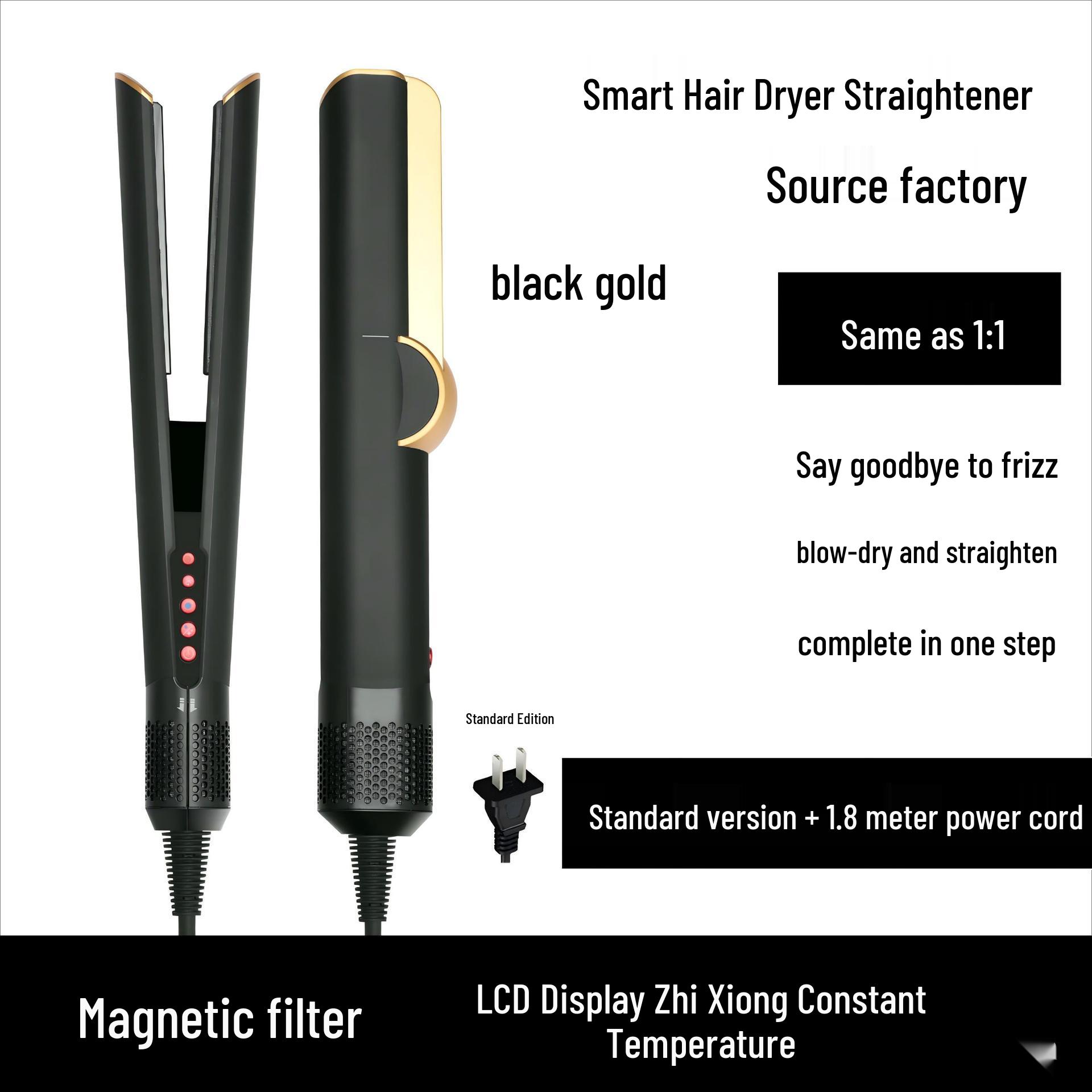 Premium Cross-Border 2-in-1 Hair Dryer & Straightener HT01 for Wet & Dry Use