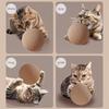 1pc Sisal Cat Toy Ball | Self-entertaining, Noise-making, Durable, Teething Fun for Medium Breeds,Without Battery,Cat supplies