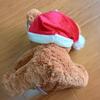 [USED] Aurora Plush Christmas Teddy Bear, Small, First Toy