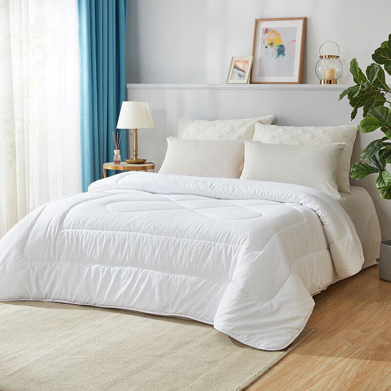 

Luolai Home Textiles All-Season Tussah Silk Blend Quilt