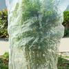 Plant Mesh Cover for Garden Protection Bird Netting Drawstring Insect Barrier Netting with Zipper for Blueberries Tomatoes Lemons Small Fruit Trees