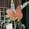 Faux Silk Yarn Artificial Butterfly Giant Large 3D Simulation Tulle Fake Butterfly Prop Butterfly Display