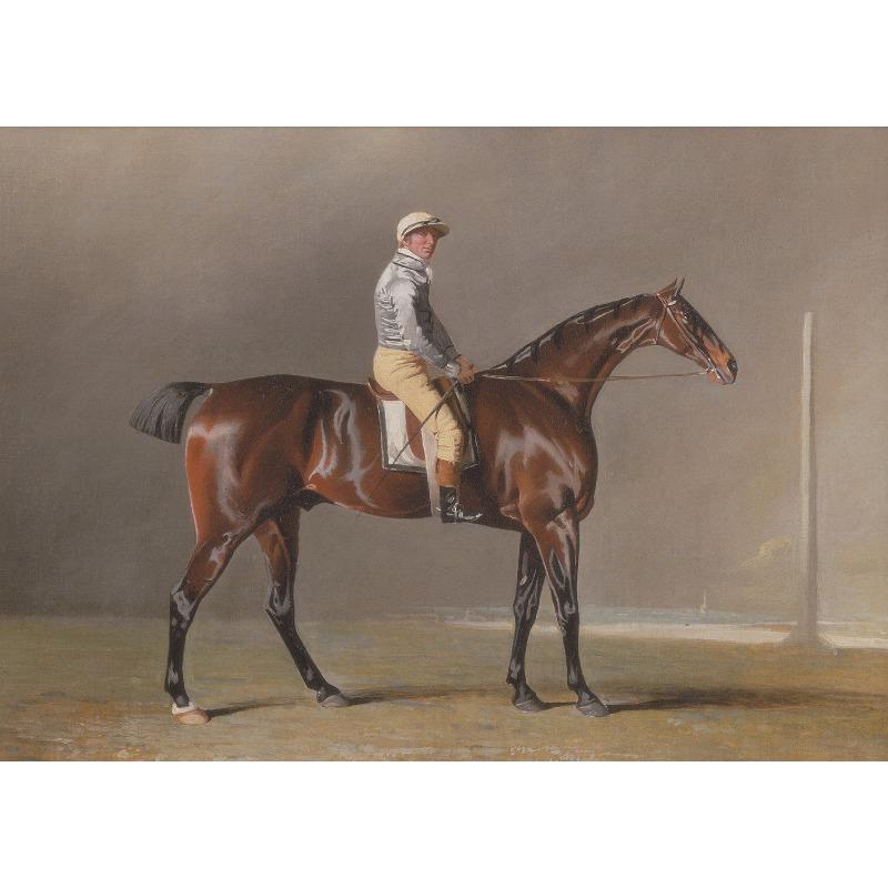 

Vintage Horse Poster Antique Horse Farm Animals Canvas Painting Equestrian Prints Farmhouse Pictures for Living Room Home Decor 21cm×30cm NoFrame