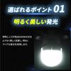 Takenous T10 LED Position Bulb 24V 12V White 6500K Bright Illumination Non-Polarity