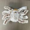 Little Spider Lucas Jumping Spider Plush Toy Doll