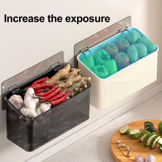 Wall Mount for Small Items Wall-mounted Storage Rack, Transparent Plastic Space Saving Organizer Bin, Multi Purpose Self Adhesive No Drill Container