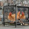 Extra Large Outdoor Chicken Cage with Egg Tray and Secure Enclosure
