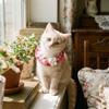Sweet Flower Pet Scarf Bib Adjustable Cat Woven Bib Cute Pet Cat Necklaces  Photo Shoots