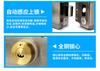 Electric Control Silent Iron Lock for Rental House Doors