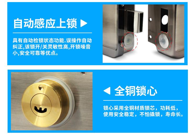 Electric Control Silent Iron Lock for Rental House Doors
