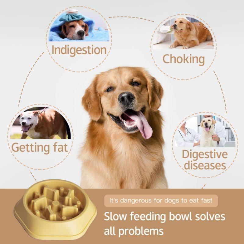 Vibrant Anti-spill Pet Feeding Bowl Slow Feeder Design For Dogs And Cats Multiple Colors Available