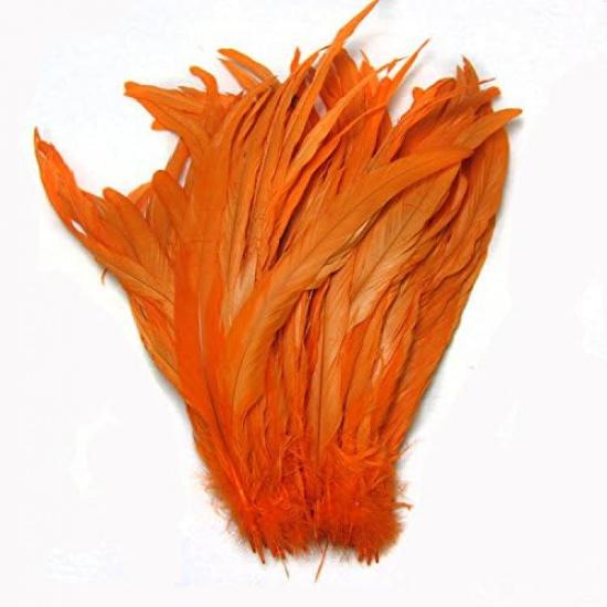 Nature Rooster Coque Tails Feathers Costume Craft Decoration 12-14inch Pack of 25 (black)
