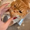 Transparent Cat Hair Storage Box Pet Fur Keepsake Capsule For DIY Crafts Memorial Gift For Pet Lovers Home Display Handmade Deco