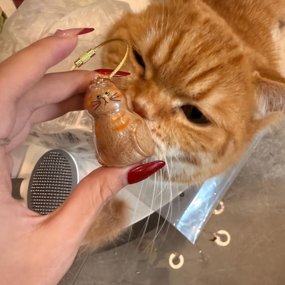 Transparent Cat Hair Storage Box Pet Fur Keepsake Capsule For DIY Crafts Memorial Gift For Pet Lovers Home Display Handmade Deco