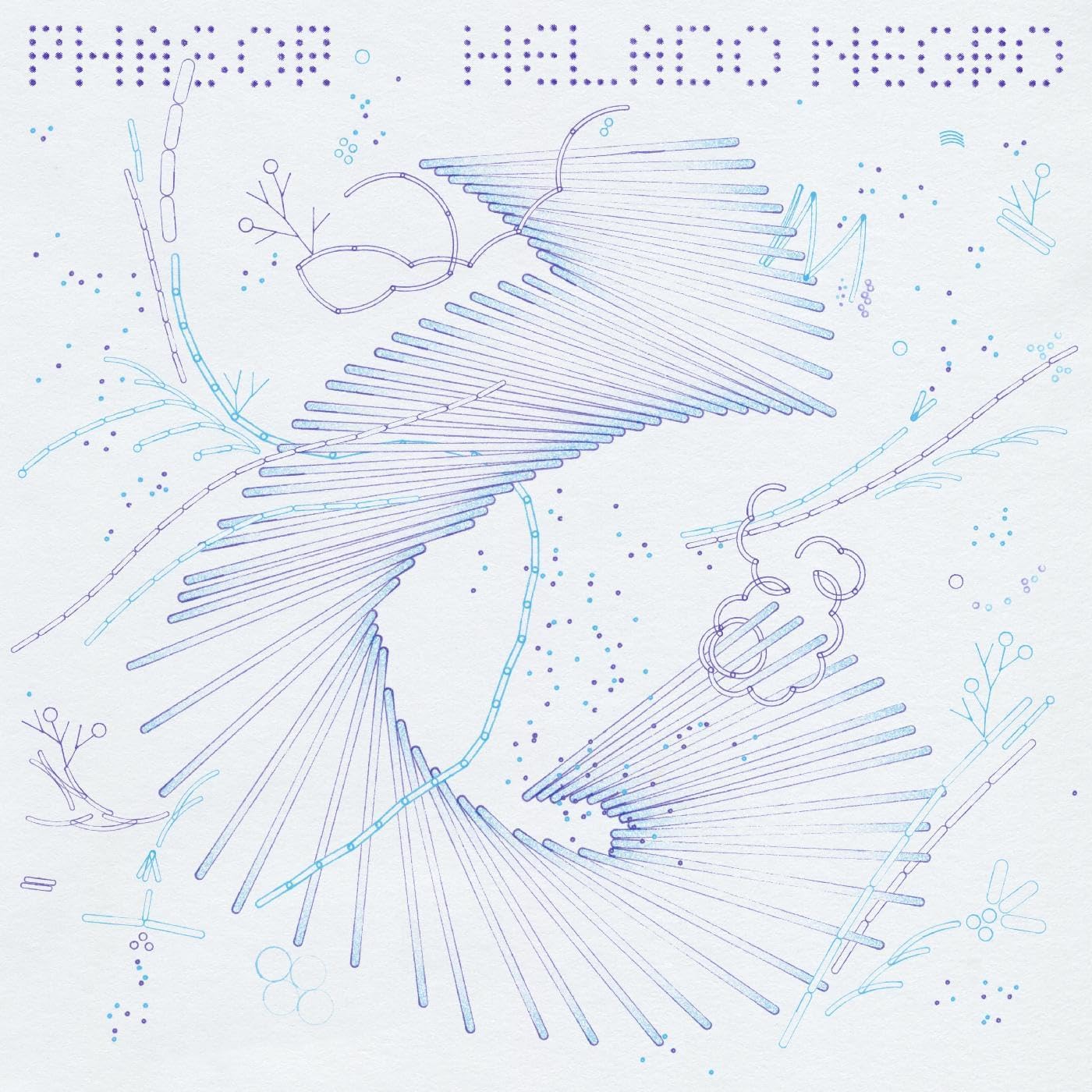 

LP Record HELADO NEGRO - Phasor 4AD0610LP 4AD 2024 US Dance & Electronica
